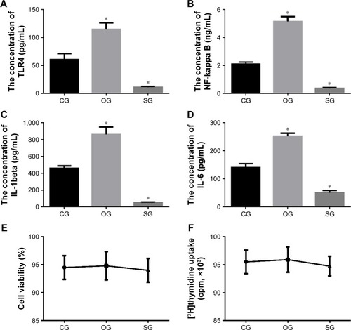 Figure 11 The effects of miR-29b on ECs.