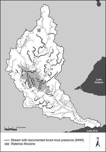 Figure 5. Streams on the Waterloo Moraine with confirmed presence of brook trout (Salvelinus fontinalis). Their presence is strongly associated with the moraine complexes in the watershed.