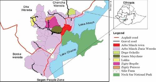 Figure 1. The five target kebeles (Zigity Perasso, Lakka, Zigity Baqolle, Ganta Meychaie & Dega Ochollo) of the CA project in Arba Minch Zuria district of southern Ethiopia..