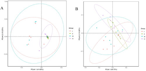Figure 6. Principal coordinates analysis (PCoA) of intestinal microbiota in Simmental beef cattle during the fattening period based on unweighted UniFrac (A) and weighted UniFrac (B).the groups were as follows: I: basal diet; II: diet prepared by replacing 10% corn husk with Chinese medicinal residue; III: diet prepared by replacing 10% corn husk with enzyme-fermented Chinese medicinal residue; IV: diet prepared by replacing 10% corn husk with enzymatic bacteria co-fermented Chinese herb residue.