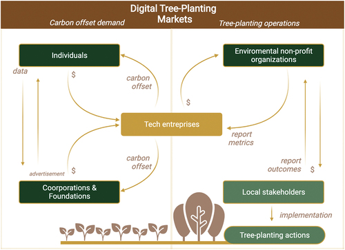 Figure 2. Large-scale tree-planting operations through digital platforms, connecting international carbon offset demands with restoration actions at the local level.
