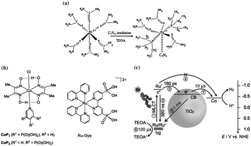 Figure 10. Organic nickel and cobalt complexes as co-catalysts for photocatalytic hydrogen production. (a) Structure of a nickel-complex–TiO2 hybrid system. Reprinted from Ref. [Citation125] with permission from The Royal Society of Chemistry. (b, c) Ruthenium-complex sensitizer–TiO2–cobalt-complex system for photocatalytic hydrogen production. Reprinted with permission from Ref. [Citation130]. Copyright 2012 John Wiley & Sons.