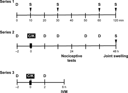 Figure 1 Time sequence of interventions.
