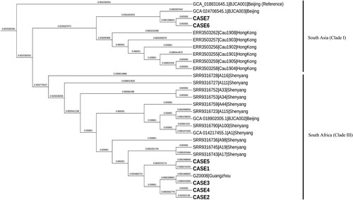 Figure 2. Phylogenetic tree showing the genetic relationships between Candida auris isolates in this study and some isolates reported in China. The isolates from 7 patients were highlighted in bold. The GZ0008|Guangzhou (Genome accession no. was JAWWNA000000000) was the first strain isolated from the Hospital A in Guangdong.