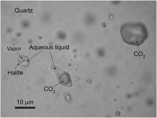 Figure 7. Photomicrograph of quartz from Solstad with one halite-bearing aqueous type 1 inclusion and a trail of aqueous carbon dioxide-bearing fluid inclusions trapped during unmixing.