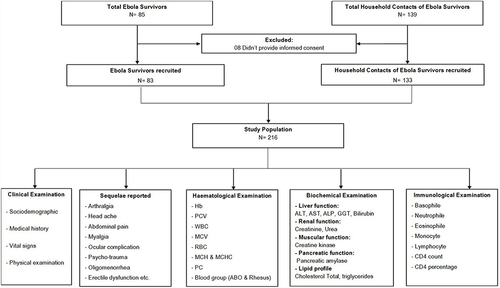 Figure 1 Study flow chart.