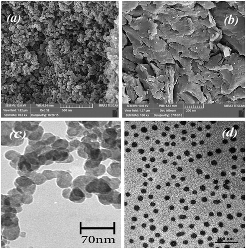 Figure 4. SEM images of (a) pure Fe3O4 nanoparticles, (b) poly [(PMA-PNIPAM)m-b-PEG-b-(PNIPAM-PMA)m] triblock terpolymer in the solid state, and TEM images of (c) pure Fe3O4 nanoparticles and (d) poly [(PMA-PNIPAM)m-b-PEG-b-(PNIPAM-PMA)m] triblock terpolymer micelle at pH =5.