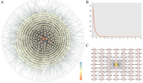 Figure 1. Visualizing the reviewed nuclear interactome of Arabidopsis. (A) the PPI network of reviewed nuclear proteins interaction. (B) the degree of proteins in nuclear interactome. (C) the interaction network of top degree protein SKP1A (Q39255).