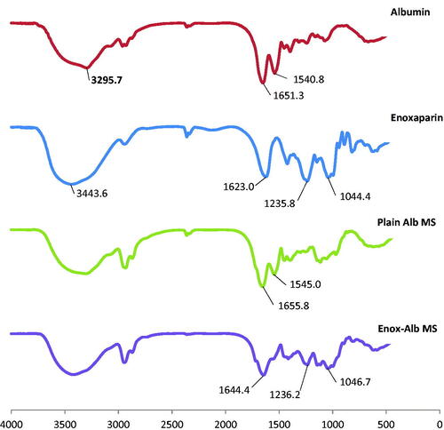 Figure 4. FT-IR spectra of albumin, enoxaparin, plain Alb MS and Enox-Alb MS.