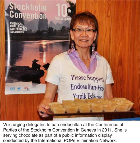 Fig. 8 Photo of Viola “Vi” Waghiyi, Yupik from St Lawrence Island and Environmental Health and Justice Program Director, Alaska Community Action on Toxics.