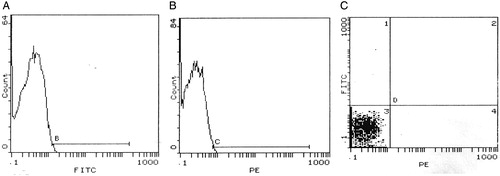 Figure 1. Histograms of the negative control samples for FITC- (A) and PE- (B) labeled isotypic antibodies. B-line was drawn to exclude non-specific signals released by FITC negative control. C-line was drawn to exclude non-specific signals released by PE negative control. (C) shows that all particles were presented in quadrant 3 (negative signals for both FITC- and PE-labeled isotypic antibodies.