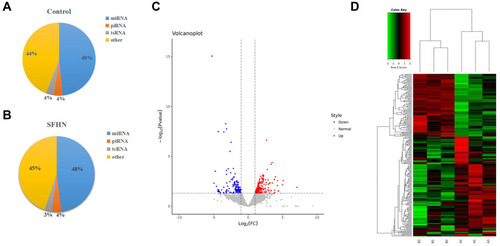 Figure 2 Differential expression (DE) analysis of tRNA-derived small RNAs (tsRNAs) in SONFH patients. (A and B) Types of small non-coding RNAs identified in plasma exosomes from SONFH patients and healthy subjects. (C) Volcano plot showing the DE tsRNA between SONFH patients and healthy subjects. Red points denote the upregulated tsRNAs and blue points indicate the downregulated ones in SONFH patients compared to healthy controls across all 6 samples. (D) Heat map of DE tsRNAs across all 6 samples. A1, A2, and A3 represent the SONFH group; B1, B2, and B3 were from the healthy group.