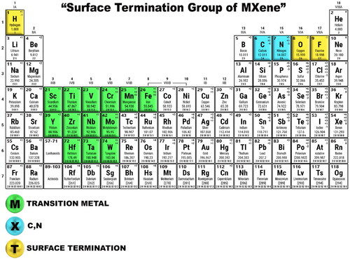 Figure 1. Schematic showing the surface termination groups of MXene.
