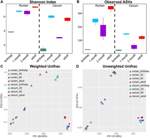 Figure 9. Alpha and beta diversities of rumen and caecum content in goats from birthday to adult Alpha-beta-genus-lefse. A,B. Alpha diversity (Shannon index and the number of observed ASVs) of the rumen and caecal microbiota. C,D. Beta diversity of the rumen and caecal microbiota based on Weighted and Unweighted Unifrac distance. One point represents one sample.