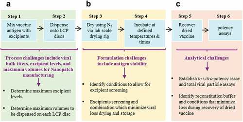 Figure 7. Overview of experimental challenges encountered during development of stable, dried formulations of vaccine candidates for use in the NanopatchTM delivery system. (a) manufacturing process constraints for amounts of excipients and antigens available, (b) formulation challenges to identify stabilizing additives, and (c) analytical challenges to measure recovery and stability of vaccine antigens. This figure describes a lab-based, scaled-down model of the NanopatchTM process and is adapted from open access article by Wan et al., 2021Citation132.