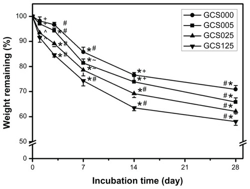 Figure 7 Time course of the percentage of weight remaining for various chondroitin-4-sulfate-modified porous gelatin scaffolds (GCS000, GCS005, GCS025, and GCS125) after incubation at 34°C in a balanced salt solution containing collagenase.Notes: An asterisk indicates statistically significant differences (*P < 0.05; n = 5) for the mean value of weight remaining compared with value at previous time point; #P < 0.05 versus all groups; +P < 0.05 versus GCS025 and GCS125 groups; ^P < 0.05 versus GCS000 and GCS005 groups; –P < 0.05 versus GCS000 and GCS125 groups (compared only within each time point group); scaffold groups labeled according to chondroitin-4-sulfate concentration used (0%, 0.05%, 0.25%, or 1.25% (w/v)): GCS000, GCS005, GCS025, and GCS125.