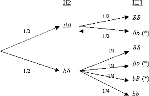 Figure 2: A tree diagram for our pedigree.