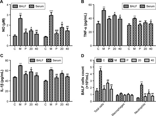 Figure 6 Effects of the nucleosides on (A) NO, (B) TNF-α, (C) IL-1β, and (D) inflammatory cells in CSE-induced mice.