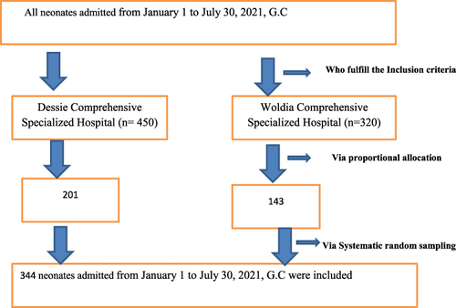 Figure 1 Schematic diagram of sampling procedure among neonates in Woldia and Dessie Comprehensive Specialized Hospitals, north-east Ethiopia, 2021 (n = 344).