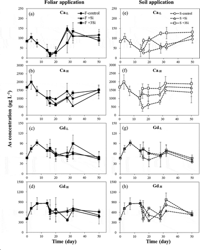 Figure 3. The changes of arsenic (As) concentrations in soil pore water with (a–d) foliar application and (e–h) soil application of silicon (Si) during flooding conditions (F: foliar application; S: soil application; the addition of 0-, 1- and 3-fold recommendation rates of Si in soil application and 0, 0.1 and 0.3% Si in foliar application are expressed as control, +Si and +3Si, respectively; Si was added on the 15th and 30th days).