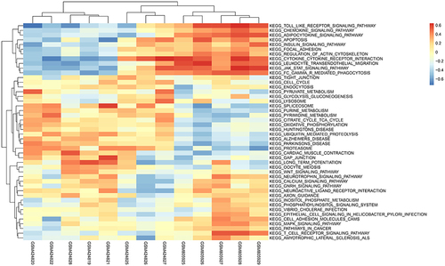 Figure 11 Heatmap displays differences in pathway activities between normal samples and epilepsy samples in GESM datasets. Red indicates epilepsy samples, while blue indicates normal samples.