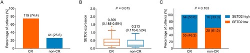 Figure 2. Higher SETD2 expression was related to a better induction therapy response in AML patients. Presentation of CR rate in AML patients (A). Comparison of SETD2 expression between AML patients with CR and AML patients without CR (B). Correlation of SETD2 high with CR achievement in AML patients (C).