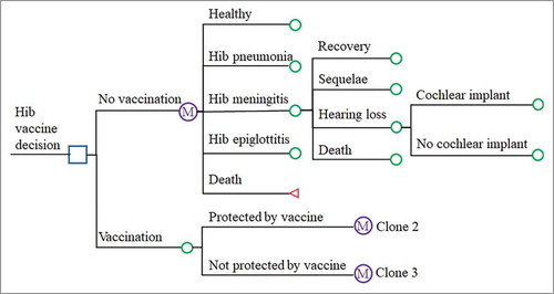 Figure 5. Decision tree and Markov model showing different vaccination strategies and possible subsequent events for each child. The “Protected by vaccine” and “Not protected by vaccine” arms are clones of the “No vaccination” arm.