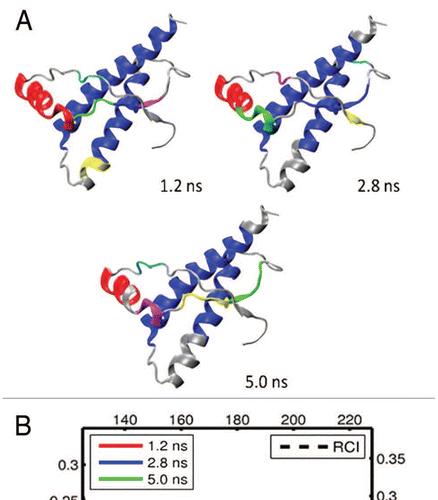 Figure 7 (A) Dynamical domains for human prion protein (hPrP) identified from a MD trajectory at times indicated by the subscripts. The meaning of colors is as in Figure 3. (B) Flexibility profiles at times indicated in the legend box. The dashed curve shows the experimental RCI profile from 2(e). More results for dynamical domains and flexibility profiles in human prion protein can be found in Figures S9 and S10, respectively.