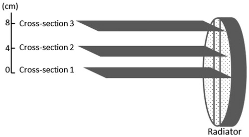 Figure 12. Three transverse plane cuts of temperature measurements.