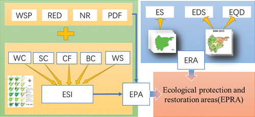 Figure 2. Ecological protection and restoration area identification method (WSP-Water Source Protection Zone; RED-Ecological Red Line; NR-Nature Reserves; PDF-Permanent Basic Farmland; WC-Water Conservation; SC-Soil Conservation; CF-Carbon Fixation; BC-Biodiversity Conservation; WS-Windbreak and Sand Fixation; ESI-Ecological Service Importance; EPA-Ecological Protection Area; ES-Ecosystem Stability; EDS-Ecologically Damaged Space; EQD-Ecological Quality degradation; ERA-Ecological Restoration Area; EPRA-Ecological Protection and Restoration Area.).