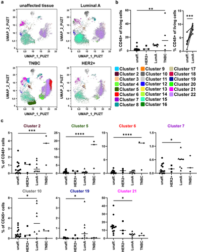 Figure 3. Identification of subtype-specific immune cell alterations in breast cancer samples. a) Merged samples from Figure 2 were split up into the original files after UMAP and X-Shift analysis. Dot plots show a representative donor for unaffected tissue, Luminal A-type BC, HER2-enriched (HER2+) BC, and TNBC. Dot plots were overlaid with the identified clusters by X-Shift and color-coded according to Figure 2. b) Scatter plot shows the frequency of CD45+ immune cells among all viable cells (determined for each sample as in Figure 2a; one-way ANOVA with Dunnett’s multiple comparison test; * p < 0.05, ** p < 0.01, *** p < 0.001, **** p < 0.0001). c) Frequency of each cluster among CD45+ immune cells in each tissue sample were determined and plotted as scatter plot. Shown are clusters displaying significant differences between unaffected tissue and one of the analyzed BC subtypes (one-way ANOVA with Dunnett’s multiple comparison test; * p < 0.05, ** p < 0.01, *** p < 0.001, **** p < 0.0001).