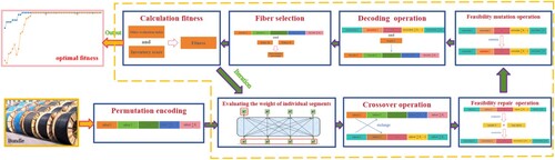 Figure 2. Framework of fibre allocation.