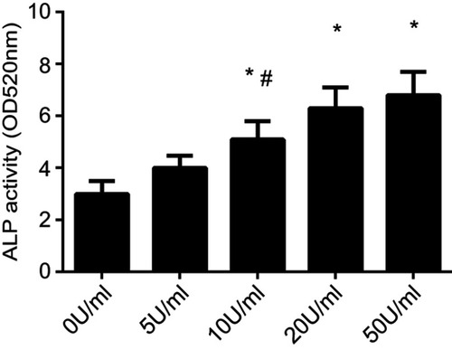 Figure 4 The ALP activity of Peridontal ligament stem cells (PDLSCs) under different concentration of Erythropoietin (EPO) treatment. (*P<0.05, compared with 0 U/mL EPO group. #P<0.05, compared with 50 U/mL EPO group).