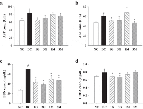 Figure 6. The concentrations of plasma (a) aspartate aminotransferase (AST), (b) alanine aminotransferase (ALT), (c) creatinine (CREA) and (d) blood urea nitrogen (BUN) in rats fed with G. lucidum powder supplement diets. The rats were injected with nicotinamide and STZ for the induction of diabetes and fed with G. lucidum powder supplement diets for 5 weeks. The blood samples were collected individually for the detection of plasma AST, ALT, CREA and BUN as described in Materials and methods. Results are expressed as mean ± SEM for each group of rats (n = 8). #p < 0.05 compared with the NC group; *p < 0.05 compared with the DC group. NC: normal control; DC: diabetic control; 1 G: diabetic rats fed with 1% G. lucidum powders; 3 G: diabetic rats fed with 3% G. lucidum powders; 1 M: diabetic rats fed with 1% G. lucidum mycelium powders. 3 M: diabetic rats fed with 3% G. lucidum mycelium powders