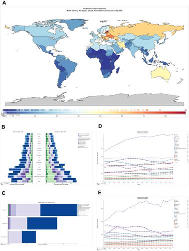 Figure 1 Current epidemiological data on ischemic heart disease (IHD) from the Global Burden of Disease (GBD). (A) Global prevalence of ischemic heart disease (colors indicate prevalence rates per 100,000 population in 2019). (B) Prevalence of IHD among cardiovascular diseases in males and females in various countries. (C) Association of risk factors, including metabolic, behavioral, and environmental, and IHD. (D) Incidence trend from 1990 to 2018 according to countries. (E) Global mortality trends.