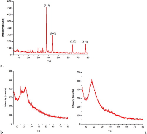Figure 2. (a) XRD analysis of AgNPs. (b) Stem powder. (c) Stem aqueous extract.