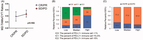 Figure 5. M2-TAMs subclass showed poorly respond to ICIs. (A) The ratios of infiltration fractions of M2-TAMs to CYT value in the effective and ineffective anti-PD-L1 clinical therapy groups of the IMvigor210 cohort patients (n = 298). CR: complete response; PR: partial response; SD: stable response; PD: progress response (p = .1002, Mann-Whitney test; median (95% confidence interval)). (B) The proportions of patients with different PD-L1+ immune cells infiltrating fractions in three groups of low, medium and high M2-TAMs/CYT values (low vs. high: p < .0001; Chi-square test). (C) The proportions of patients with response to PD-L1 blockade therapy in three groups of low, medium and high M2-TAMs/CYT values (low vs. high: p = .136; Chi-square test).