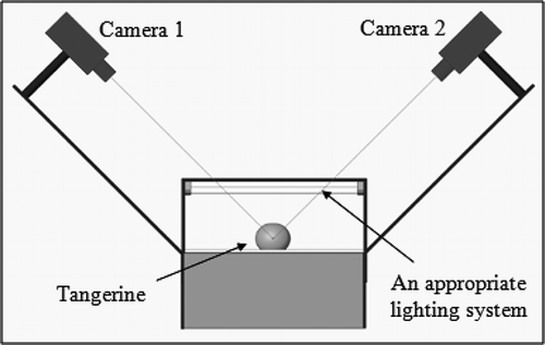 Figure 1 Schematic of developed machine vision system.