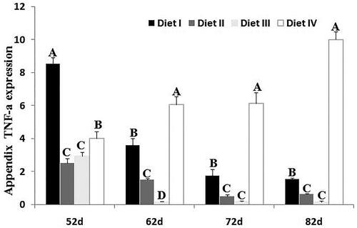 Figure 5. TNF-a mRNA levels in appendix. Histograms showed expression mRNA level in rabbits fed different dietary NDF levels (Diet I: 34.65% NDF; Diet II: 30.75% NDF; Diet III: 28.63% NDF; Diet IV: 25.85% NDF) at 52, 62, 72, 82 d (mean ± SD, n = 5). The mRNA expression profile of TNF-a was quantified by semi-quantitative RT-PCR using GAPDH as an internal control. The results in the lower panels were derived from scans of the upper panels. The capital letter represents p < .01 among groups.