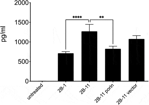 Figure 8. Cytokine response of THP-1 cells infected with Patient 2B strains and porin complemented strains: TNF-α levels (pg/ml) were determined on 24 h culture supernatants using a bead-based cytokine assay. Results are mean ± SEM from a total of 5 independent experiments. TNF-α levels were significantly higher in patient 2B last isolate 2B–11 compared to the first strain 2B–1 (**** p-value 0.0001, FDR of 0.05). Porin complementation of 2B–11 resulted in a reduction in TNF-α (** p-value 0.0040, FDR of 0.05).