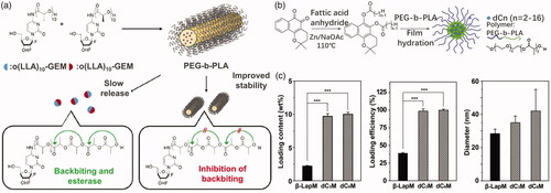 Figure 2. (a) OLA-modified GEM loaded in PEG-PLA micelles (Tam et al., Citation2018). Copyright 2018, American Chemical Society. (b) Modified β-lapachone prodrug loaded in PEG-PLA micelles. (c) Loading content, loading efficiency, and diameter of modified β-lapachone in PEG-PLA micelles (Ma et al., Citation2015). Copyright 2015, Elsevier. Reprinted with permission.