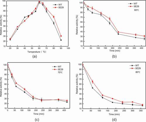 Figure 3. Effect of temperature on the activity (a) optimal temperature of wild-type CotA and 5E29 mutant for catalyzing SGZ; The thermostability of wild-type CotA and 5E29 mutant (b) at 60°C, (c) 70°C, (d) 80°C.