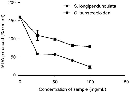 Figure 6. Fe2+-induced lipid peroxidation in rat’s brain by aqueous extract of S. longipendunculata root and O. subscropioidea leaf.