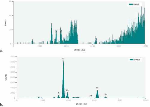 Figure 5. ED-XRF analysis results for a) raw nopal mucilage and b) concrete with natural additives