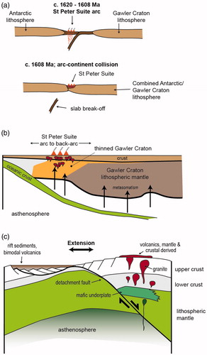 Figure 17. Summary of tectonic models for possible evolution of the St Peter Suite. (a) Model of Swain et al. (Citation2008), showing the formation of St Peter Suite outboard of the Gawler Craton on south-dipping subduction zone. This is followed by the amalgamation of the St Peter Suite arc and the Gawler Craton lithosphere during convergence at ca 1608 Ma. (b) Model of the St Peter Suite proposed by Skirrow et al. (Citation2018), which places the St Peter Suite in a continental arc setting. (c) Purely extensional model for the formation of the St Peter Suite, similar to model proposed by Etheridge et al. (Citation1987).