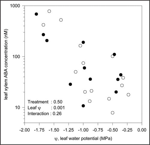Figure 1 The relationship between leaf xylem ABA concentration and leaf water potential for control maize (Zea mays L.) plants (○) and those inoculated with V. paradoxus 5C-2 (●). Each point represents a single plant and p Values determined by two-way ANOVA for each main effect (inoculation and leaf water potential) and their interaction are reported.