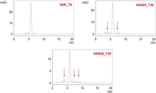 Figure 8. HPLC chromatograms of 5% VAN solution (VAN_T0) in comparison with the solution stored for 30 days at 25 °C (VAN25_T30) and 40 °C (VAN40_T30).