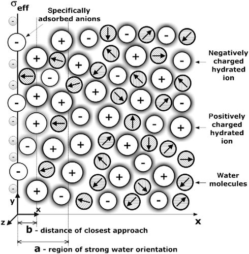 Figure 6 Charge distribution SLB model (CitationGongadze et al. 2011c), where in the interval is the region of strong water orientation and b is the distance of closest approach. The surface charge density incorporates the negatively charged metallic surface, as well as the specifically bound negatively charged ions (CitationButt et al. 2003).