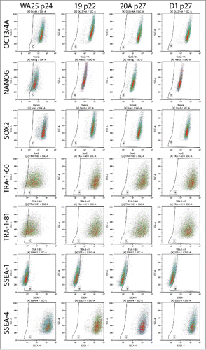 Figure 4. Flow cytometric analysis of the expression of ESC markers in AF-iPSC in their mature state grown in VTN/E8. All 3 lines of AF-iPSC (19, 20A, D1) showed typical ESC marker expression profile, comparable to that of a control ESC line WA25 also derived and cultured in VTN/E8. The WA25 line showed slightly lower intensities of Nanog and TRA antigen expression and it was more prone to spontaneous differentiation in culture.