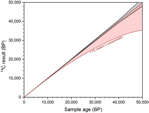 Figure 1. The increasing effect of modern carbon contamination with age. The black line shows a 14C date ± 1 SD error and the red line show the effect of adding 1% modern carbon contamination.